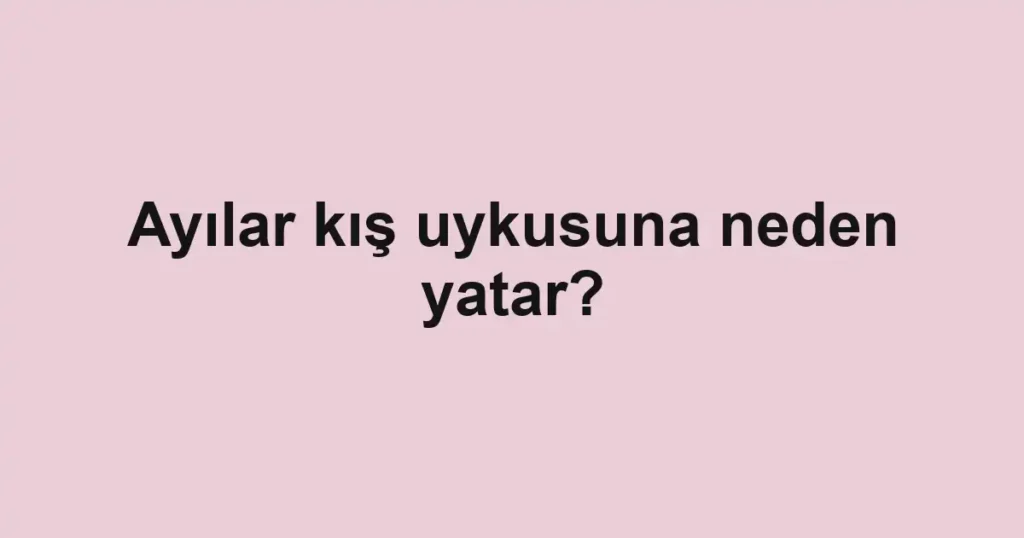 ayilar-kis-uykusuna-neden-yatar